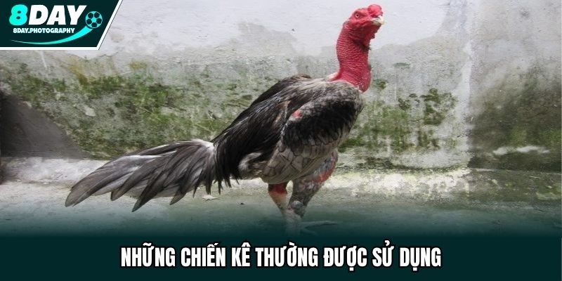 Những chiến kê thường được sử dụng