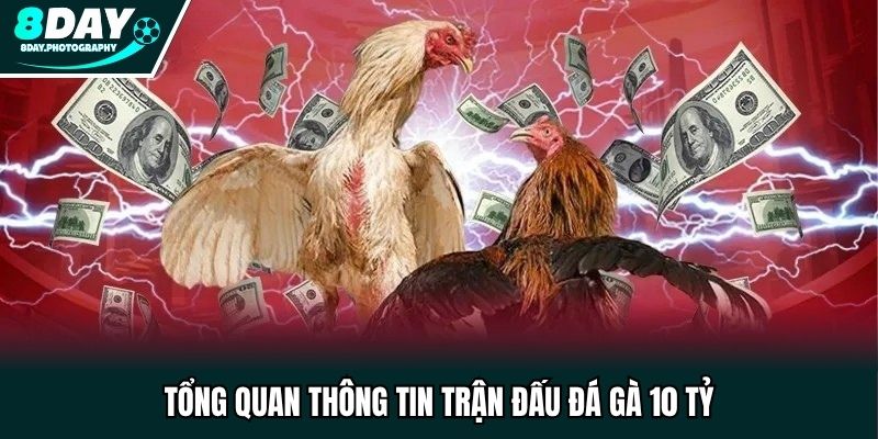 Tổng quan thông tin trận đấu đá gà 10 tỷ